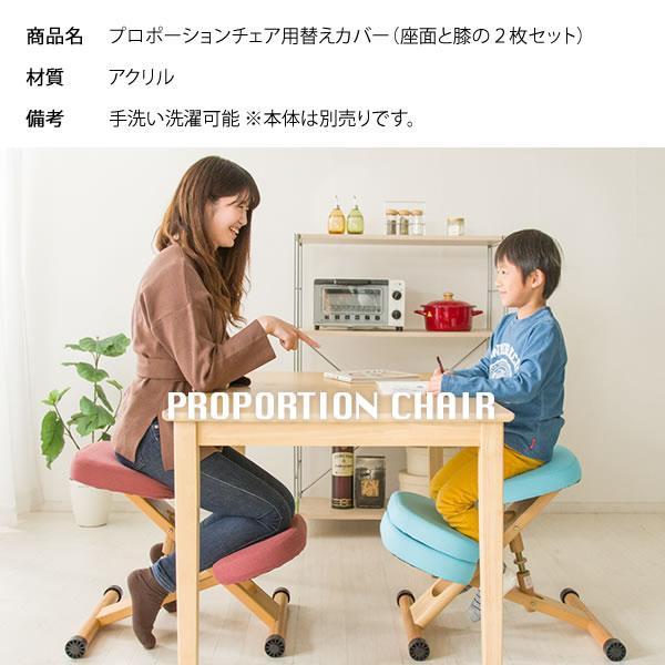 バランスチェア 子供 大人 椅子 カバー のみ 2枚セット 洗えるカバー