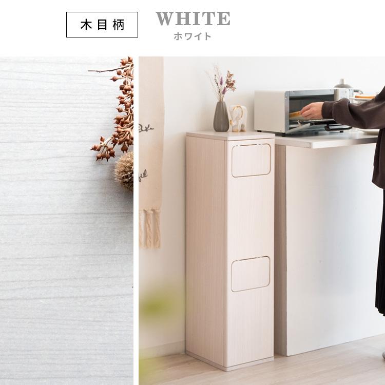 ゴミ箱に見えないゴミ箱 おしゃれ 分別 2段タイプ 40リットル(20