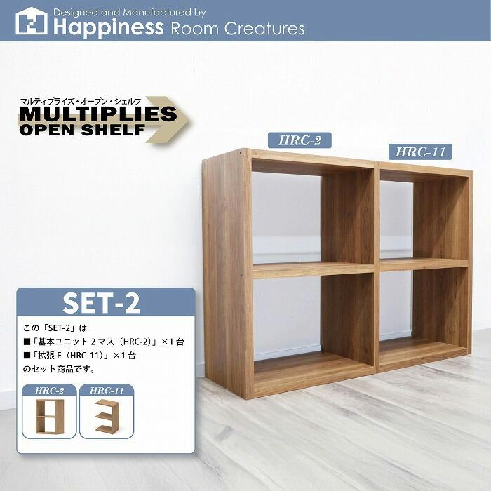 オープンラック 2段×2列 スリム (約)115×85 奥行36.5cm レコード 収納