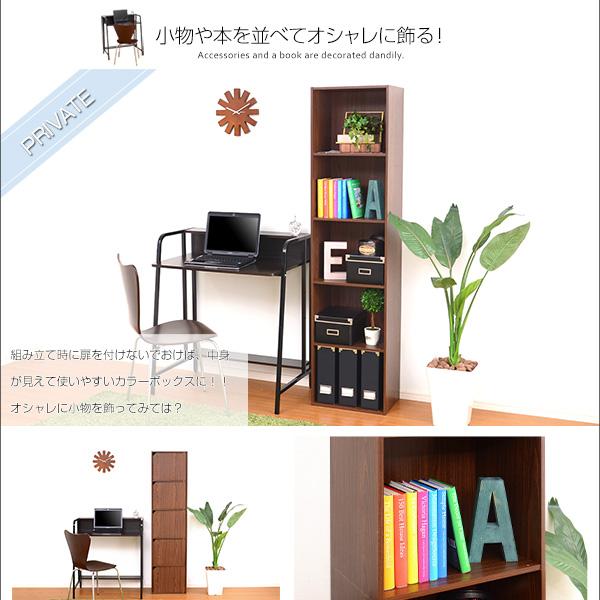 収納棚 扉付き カラーボックス 5段 5ドア A4対応 本棚 隙間収納 収納