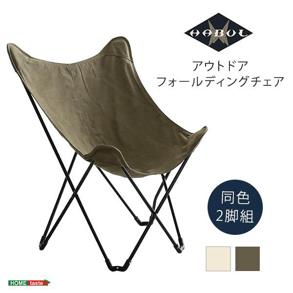 2脚セット アウトドアチェア 洗濯可能 帆布 キャンバス 持ち運び 軽量