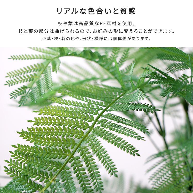 エバーフレッシュ フェイクグリーン 高さ160cm 観葉植物 フェイク 大型