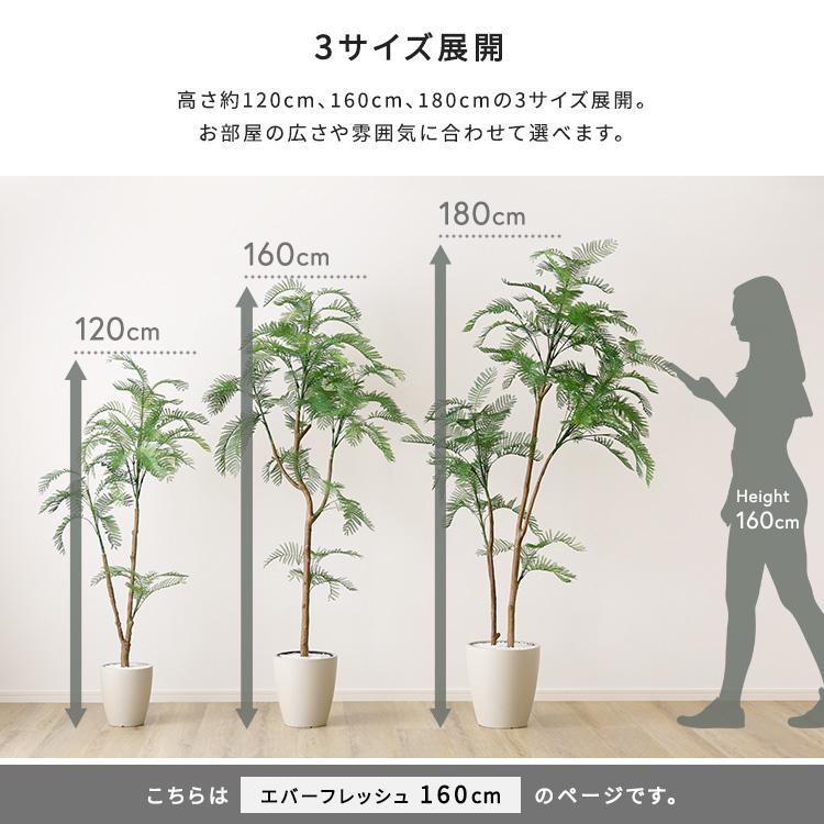 エバーフレッシュ フェイクグリーン 高さ160cm 観葉植物 フェイク 大型