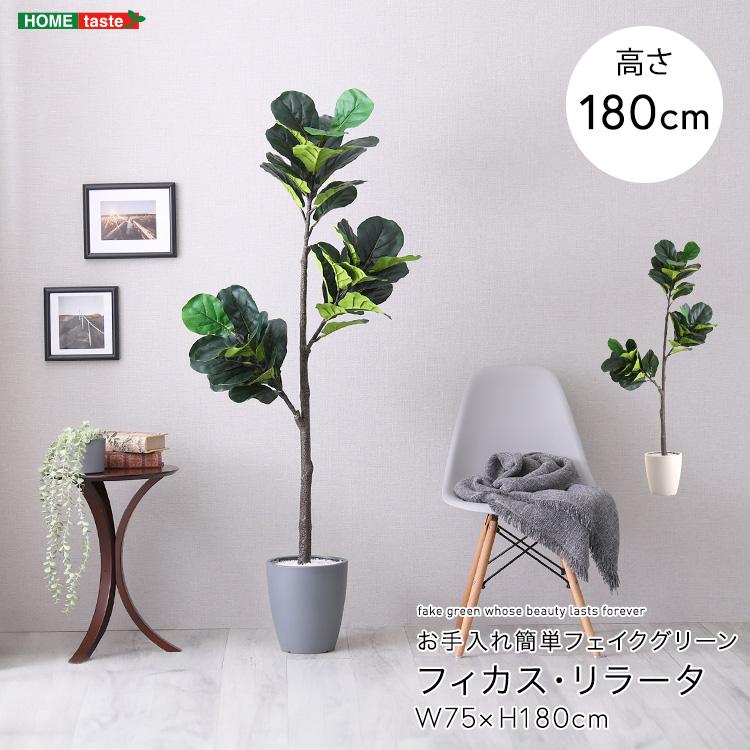 フィカス リラータ フェイクグリーン 高さ180cm 観葉植物 フェイク