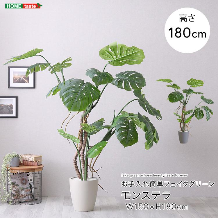 モンステラ フェイクグリーン 高さ180cm 観葉植物 フェイク 大型 人工