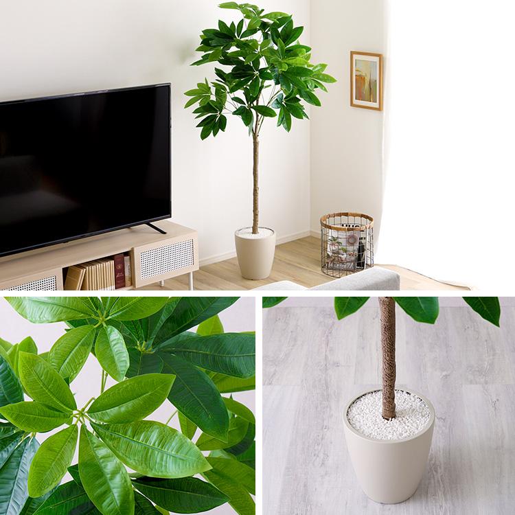 パキラ フェイクグリーン 高さ180cm 観葉植物 フェイク 大型 人工観葉