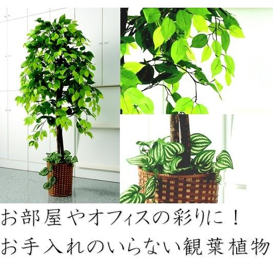 フェイクグリーン 大型 観葉植物 おしゃれ リアル 人工植物 造花 玄関 ベンジャミン 樹木 インテリア プレゼント 新生活 開店祝い 一人暮らし 12月上旬入荷 Kaguwashiki 通販 Yahoo ショッピング