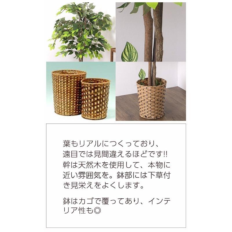 観葉植物 ベンジャミン 人工観葉植物 大型 130cm フェイク