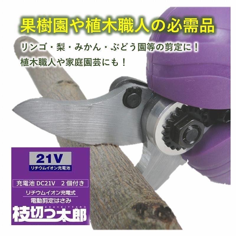 枝切りバサミ 電動 ASH-30M 最大切断径30mm コードレス 充電式 力要らず らくらくカット 果樹園 お手入れ 植木 剪定 トリマー 家庭園芸 ガーデニング 1年保証