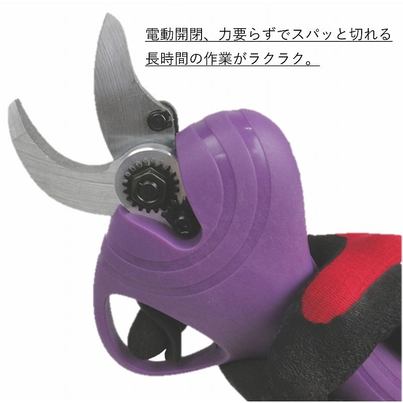 枝切りバサミ 電動 ASH-30M 最大切断径30mm コードレス 充電式 力要らず らくらくカット 果樹園 お手入れ 植木 剪定 トリマー 家庭園芸 ガーデニング 1年保証の画像