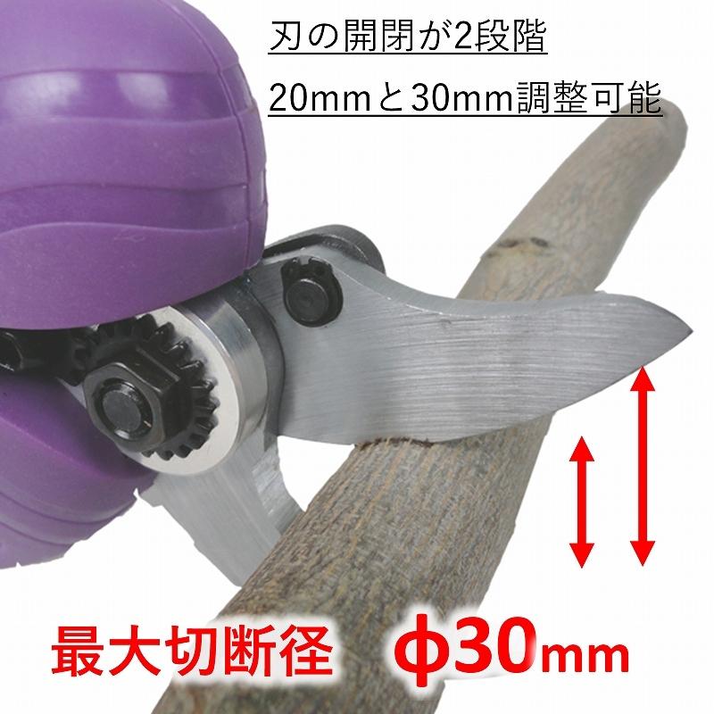 枝切りバサミ 電動 ASH-30M 最大切断径30mm コードレス 充電式 力要らず らくらくカット 果樹園 お手入れ 植木 剪定 トリマー 家庭園芸 ガーデニング 1年保証の画像