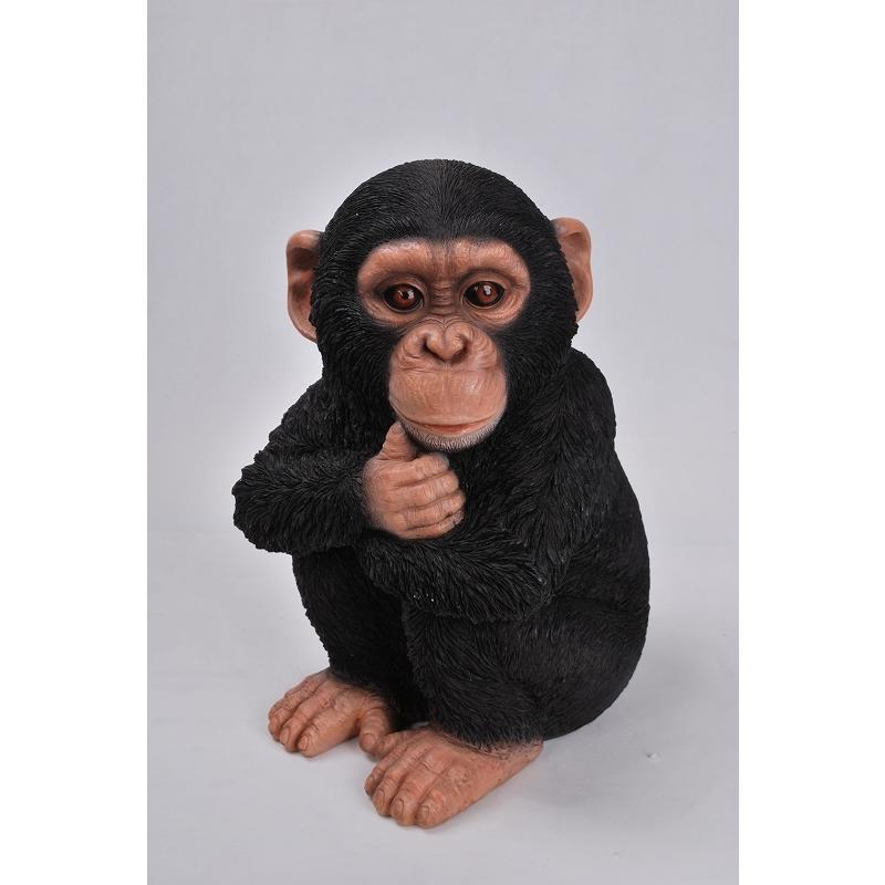 ガーデンオーナメント チンパンジー 子ども リアル 置物 庭 かわいい サル 赤ちゃん 本物そっくり オブジェ おしゃれ ガーデニング 外国風 ジャングル 熱帯 Bjv Kaguwashiki 通販 Yahoo ショッピング
