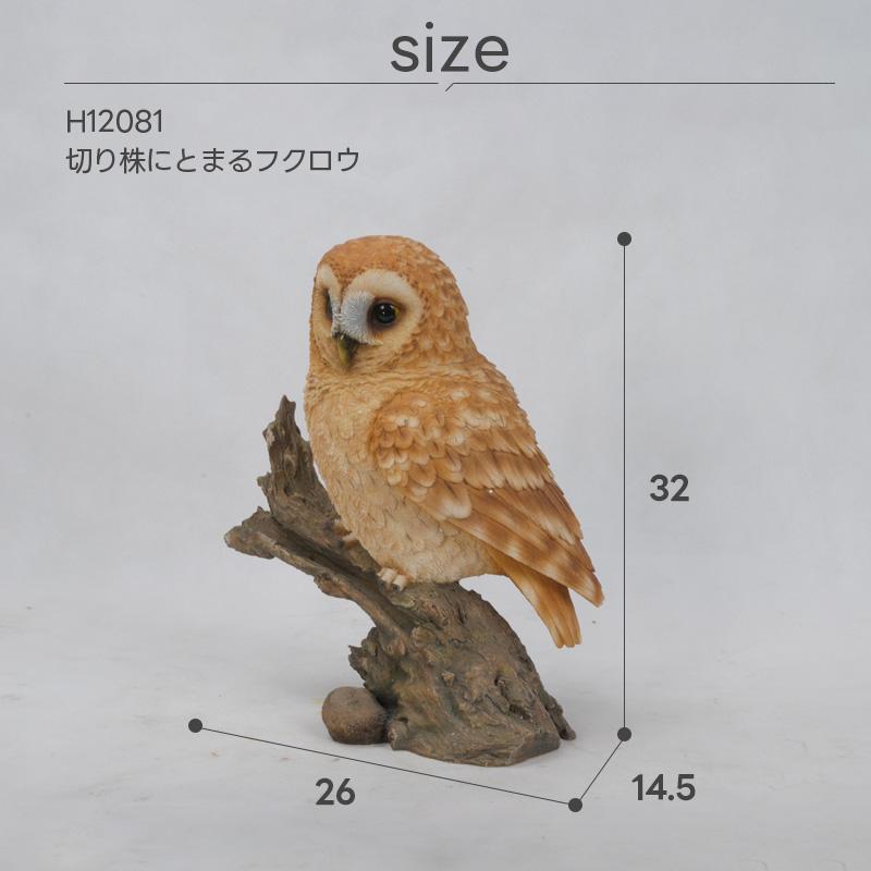 フクロウ ふくろう 梟 鳥 オブジェ オーナメント ガーデンオーナメント
