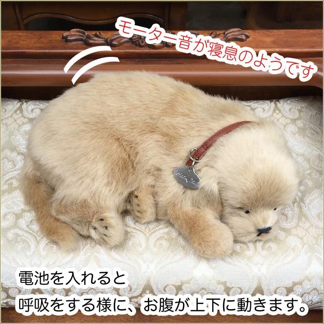 Sleeping Pet ゴールデンレトリーバー スリーピングペット 癒しの犬のぬいぐるみ スヤスヤ眠る子犬の置物 ワンちゃんの置き物 Uc D 6545 Kaguya Hime374 通販 Yahoo ショッピング