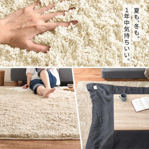 JAB高級カーペット200×300cm ドイツ製 モダンラグ シャギーラグ 絨毯 ぼん家具 ラグ ラグマット カーペット 洗える シャギーラグ 絨毯 北欧