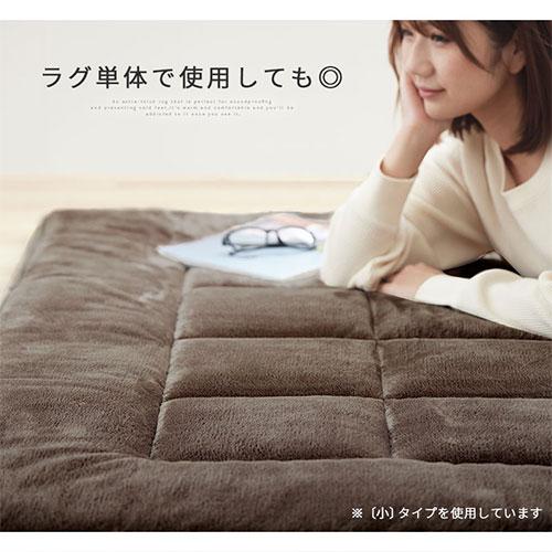 ぼん家具 コーナークッション ラグ 洗えるラグ コーナーソファー ロー