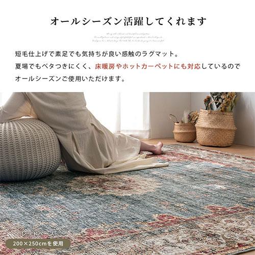ぼん家具 玄関マット 室内 60×85cm 屋内 洗える おしゃれ 幾何学
