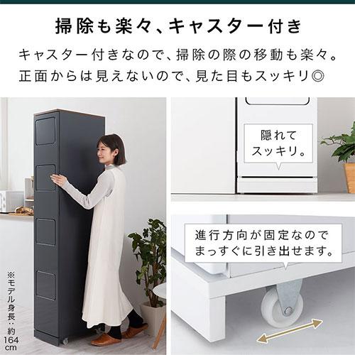 ぼん家具 【完成品】 ゴミ箱 ダストボックス 分別 キッチン 45リットル