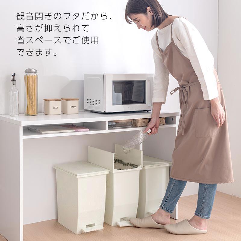 ぼん家具 分別ごみ箱 20L 2個セット ペダル式ゴミ箱 ダストボックス
