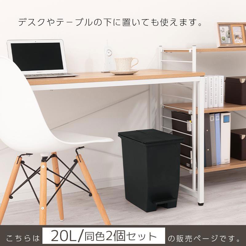 ぼん家具 分別ごみ箱 20L 2個セット ペダル式ゴミ箱 ダストボックス