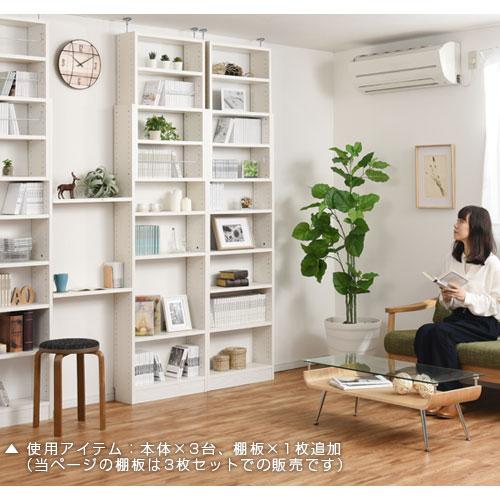 ぼん家具 棚 3枚セット 薄型 本体別売り 当店 つっぱり式ラック 専用