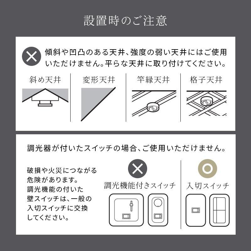 ぼん家具 シーリングライト ボール型 フロストガラス 球型 照明 回転