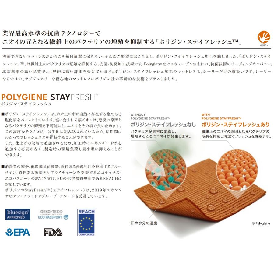 N*T様 Sealy シーリー チタンコレクション LAGRASSEⅡ セミダブ チタンコレクション ラグラスII - 宮田家具総本店