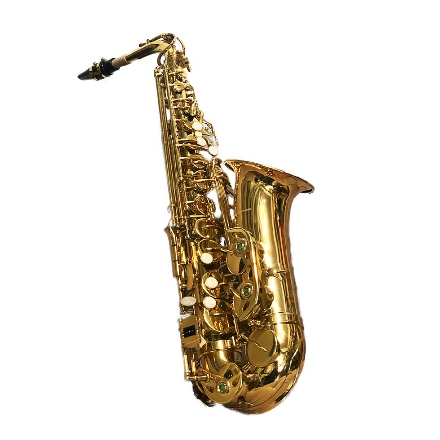 アルトサックス 初心者入門セット Saxophone サックス 管楽器 ゴールド 彫刻 専用ケース付き｜kagz｜02