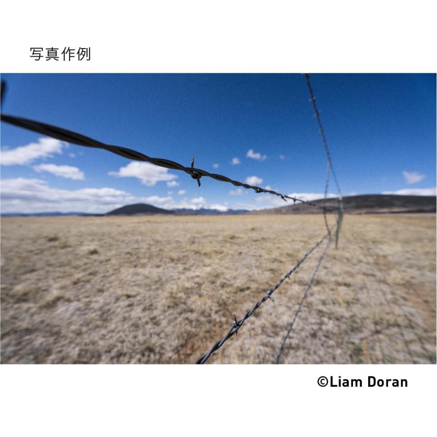 16-28mm F2.8 DG DN Lマウント 交換レンズ