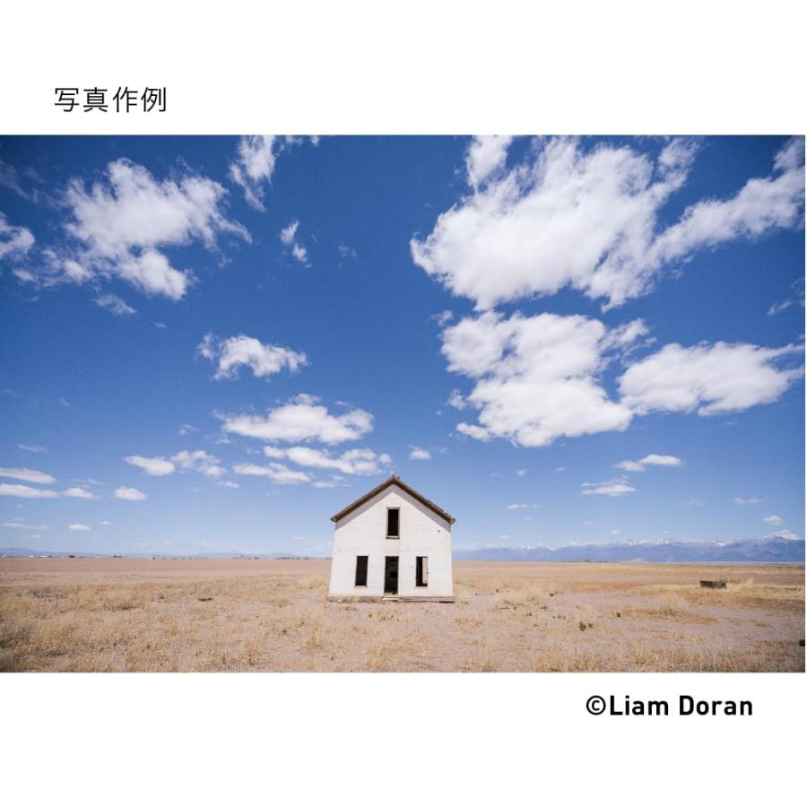 16-28mm F2.8 DG DN Lマウント 交換レンズ