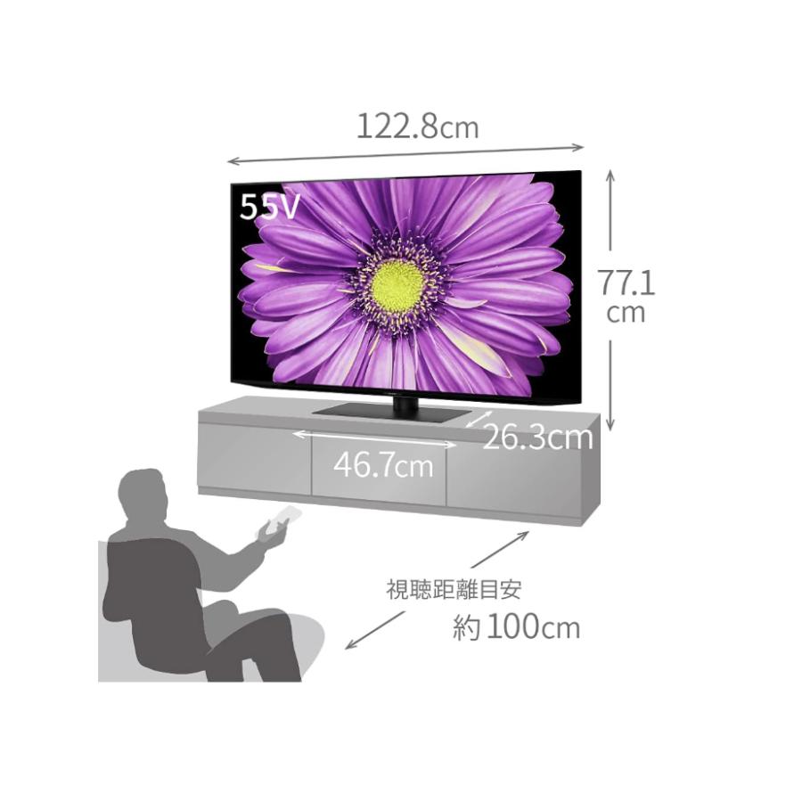 AQUOS OLED シャープ 有機ELテレビ 55インチ 4T-C55DQ2 : カホー