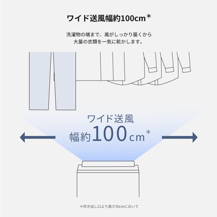 Panasonic（パナソニック） F-YEX90D-H エコ・ハイブリッド方式 衣類