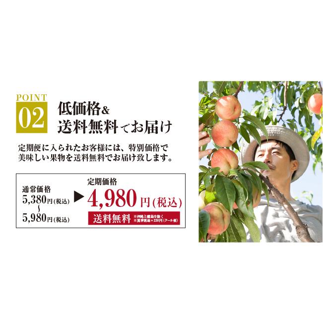 旬の果物直送！フルーツ定期便【送料無料】6ヶ月 : 株式会社果宝堂