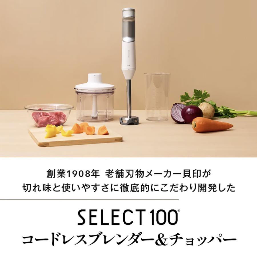 SELECT100 コードレスブレンダー専用 チョッパー 貝印 : 貝印公式