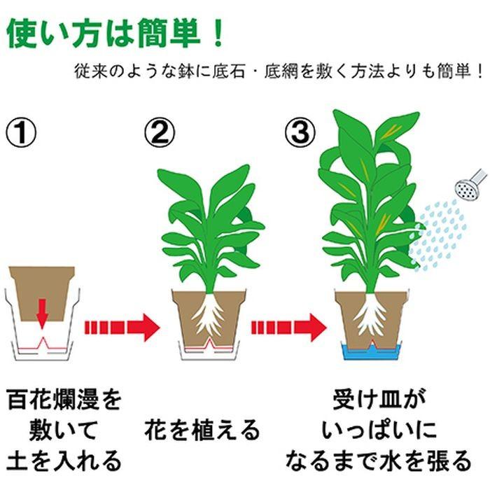 市場 ケイセイ 黒ゴマきな粉くん