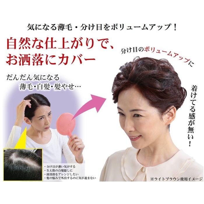 ヘアピース 部分 ウィッグ 薄毛 分け目 ボリュームアップ ふんわり はじめて 手のひらサイズのヘアピース ２カラー 富士パックス H969 v 補聴器専門店 快聴生活 通販 Yahoo ショッピング