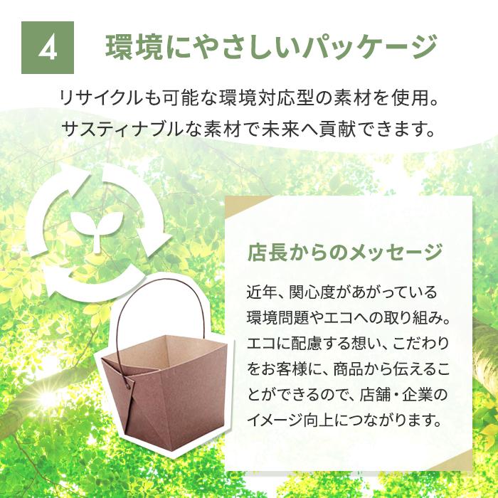 ランチボックス デリメイト TK125 ブラウン 入数 : 240 使い捨て お