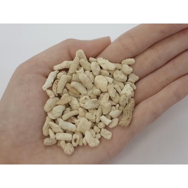 サンゴ砂 10 1 2cm程度 1ｋｇ ヤドカリ 卓出 水槽 インテリア 海 砂浜 ウエディング キャンドル ろ過材