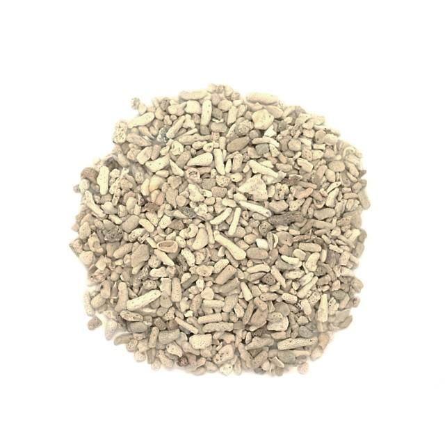 サンゴ砂 10 1 2cm程度 1ｋｇ ヤドカリ 卓出 水槽 インテリア 海 砂浜 ウエディング キャンドル ろ過材