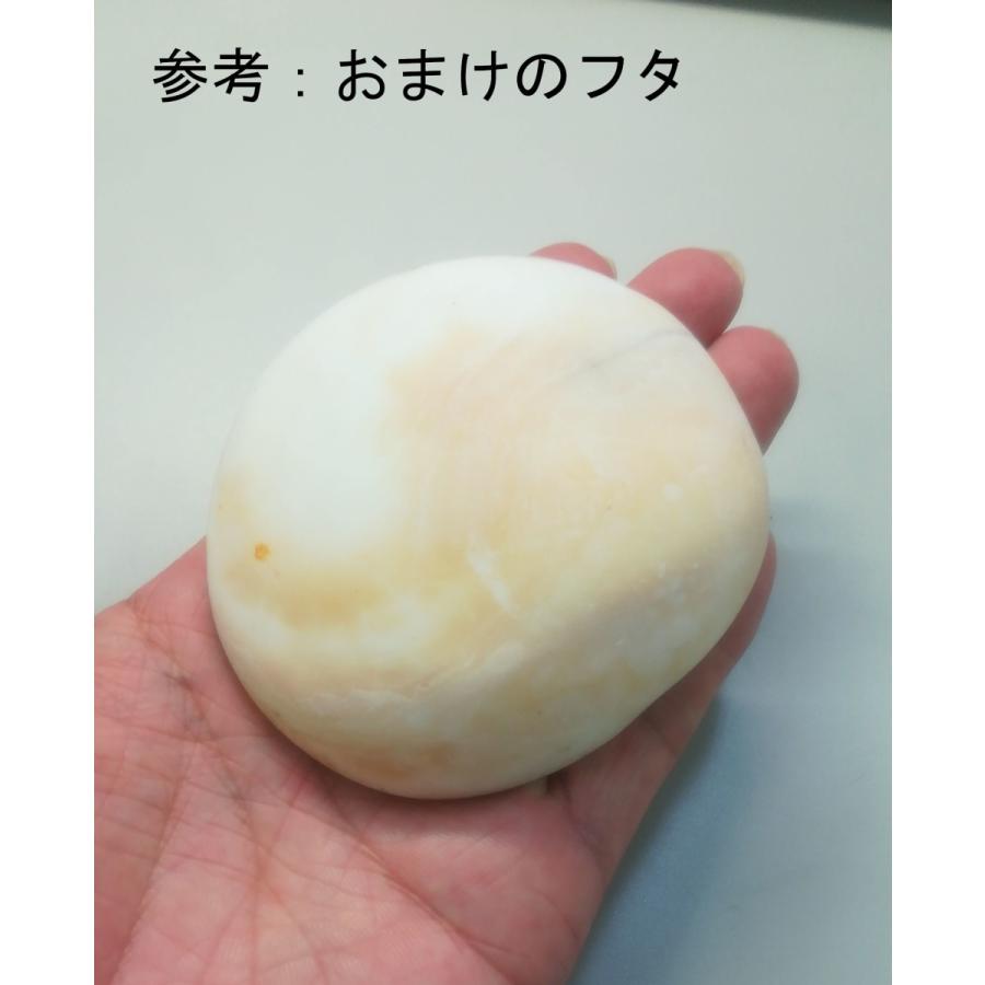 夜光貝 約300g 399ｇ 1個 おまけで蓋一つ付き Yakou5 貝殻の問屋さん ホームテリア 通販 Yahoo ショッピング