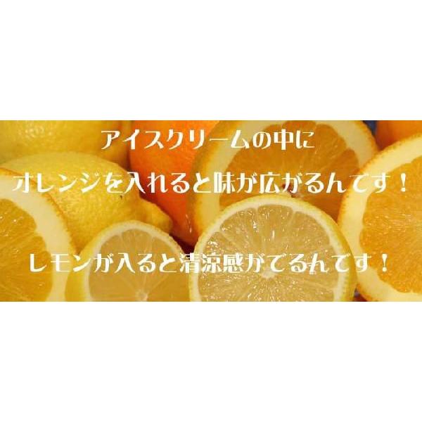 業務用アイスクリーム（フローズンヨーグルト）ハーフサイズ　プレーンヨーグルト　容量2L　甘み抑えて低脂肪　宅配便　魁ジェラート |  | 01