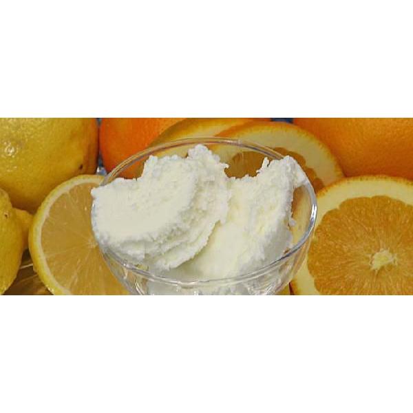 業務用アイスクリーム（フローズンヨーグルト）ハーフサイズ　プレーンヨーグルト　容量2L　甘み抑えて低脂肪　宅配便　魁ジェラート |  | 03