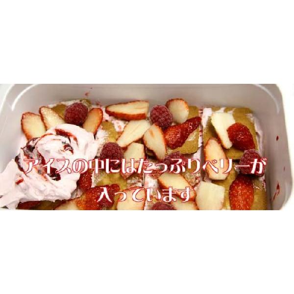 アイスクリーム業務用ハーフサイズ　　桜とベリーのタルト |  | 02