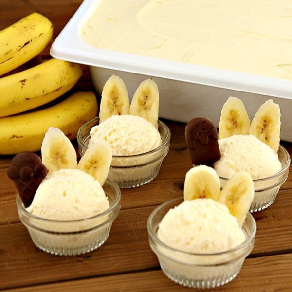 バナナジェラート 業務用アイス 4L バナナアイス 大容量 アイスクリーム アイスクリーム工房 魁ジェラート業務用アイスに 文化祭 イベント