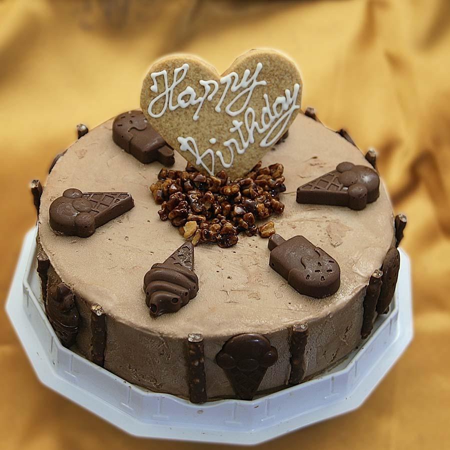 お誕生日ハッピーバースディー チョコレートアイスケーキ 6号