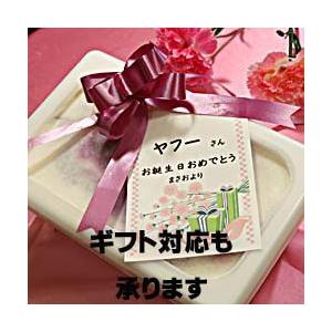 アイスクリーム業務用 ラムネアイスクリーム 時代を超えた味 家庭用でもギフトでも可 模擬店 容量4リットル デッシャーで40個分 宅配 魁ジェラート|kaigelato|06