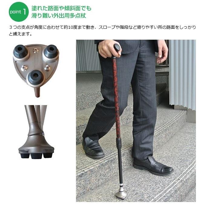 フジホーム かるがも3ポイントステッキ WB3824 バーズアイレッド 伸縮