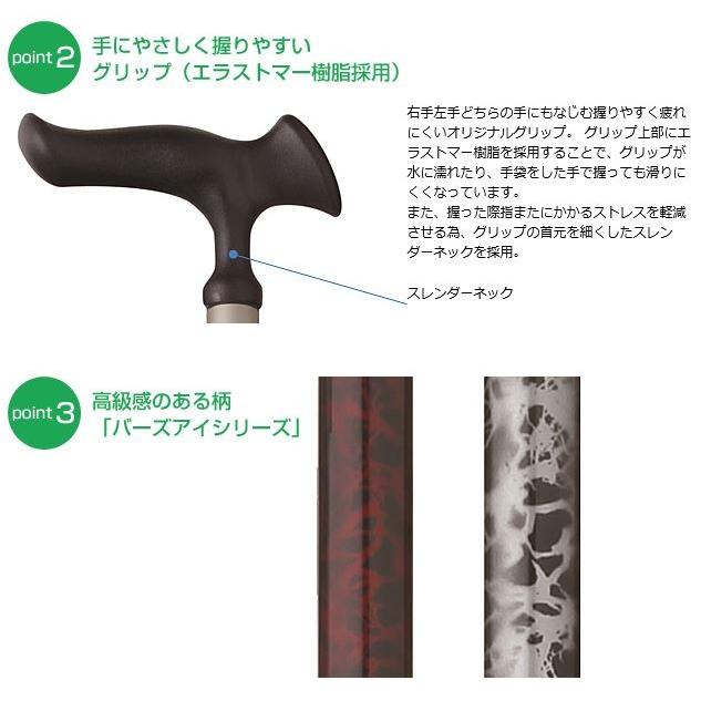 フジホーム かるがも3ポイントステッキ WB3824 バーズアイレッド 伸縮