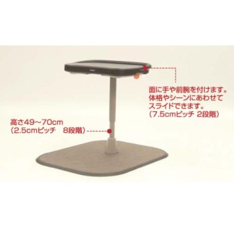 Panasonic（パナソニック） アームサポート手すりメンディ PN-L80301