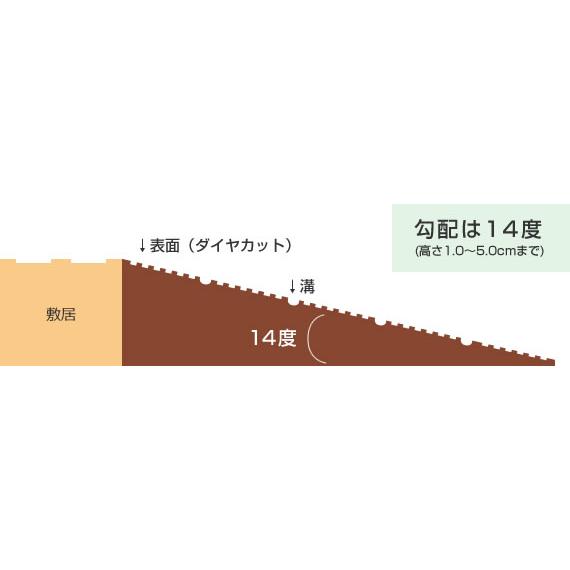 シンエイテクノ ダイヤスロープ DS76-90 高さ9.0cm 76cm幅 段差